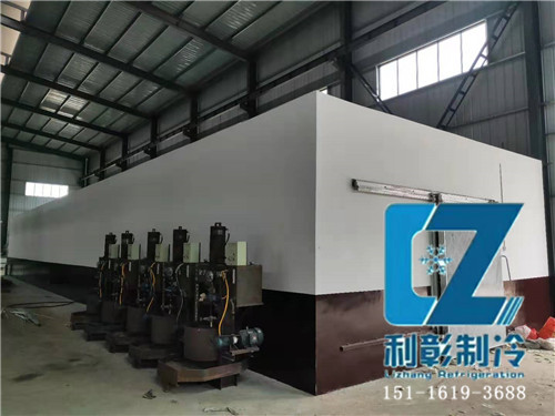 湖南天壹生物科技冷庫(kù)3