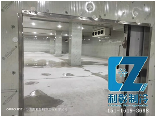 湘潭岳塘國(guó)際保鮮冷庫1 湘潭岳塘國(guó)際保鮮冷庫1